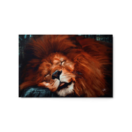 Sweet Slumber - 20″×30″ Metal prints